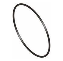 O-Ring For Casing, 190 X 5.5mm